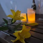 Sol Y Mar Appartement